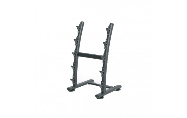 Стойка для штанг Live Pro 5 Barbell Rack LP8852 600_380