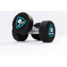 Гантели в уретане 6 кг Live Pro Studio Dumbbells LP8075-06 75_75