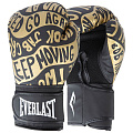 Перчатки тренировочные 10oz Everlast Spark P00002794 черный\золотой 120_120