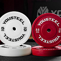 Диск технический 2,5кг, пластиковый, D450мм, красный YouSteel 120_120