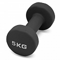 Гантель для аэробики неопреновая 5 кг PRCTZ NEOPRENE DUMBBELL PS7135 120_120